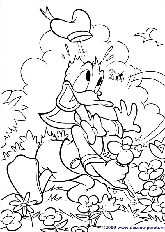 donald desene colorat